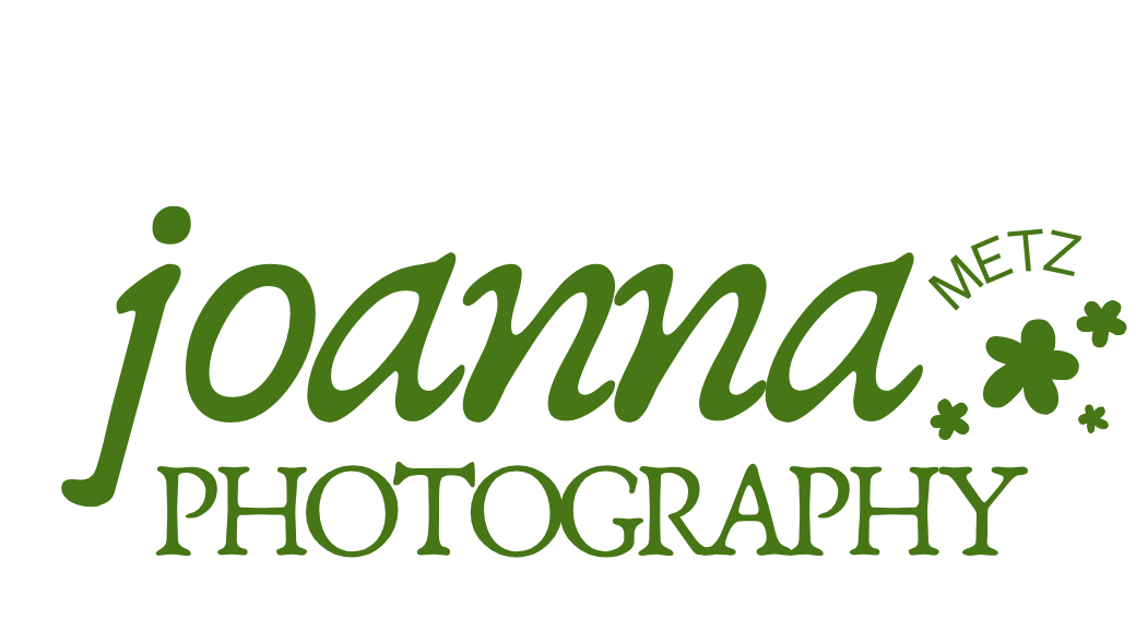 Joanna Metz Photography